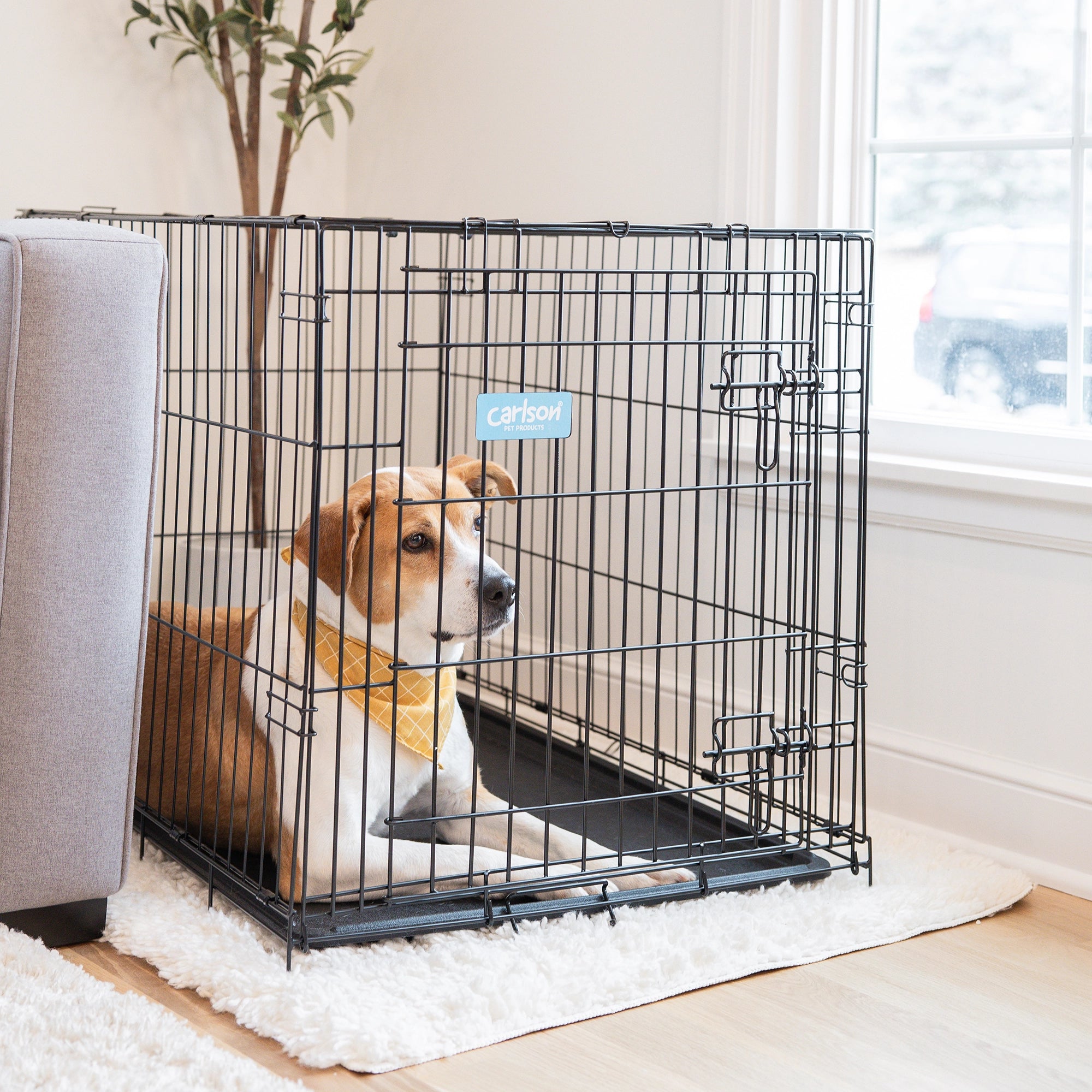 Carlson Pet Products Intermediate Single Door Dog Crate