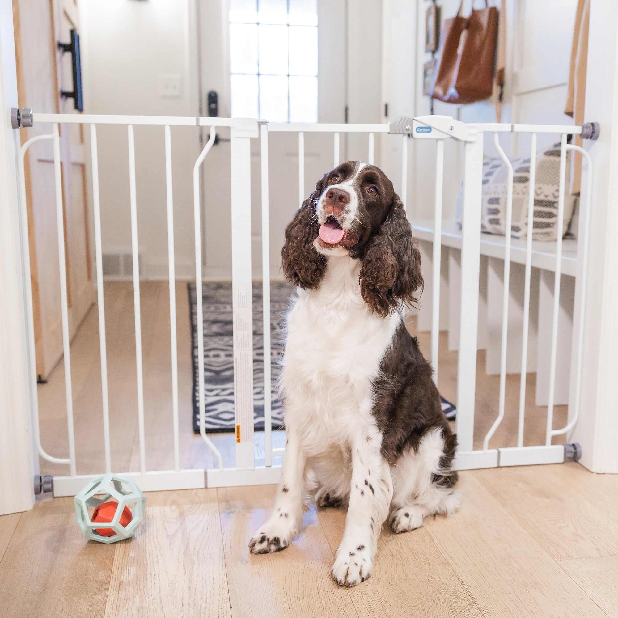 Dog sitting beside a white indoor pet safety gate in a bright home hallway