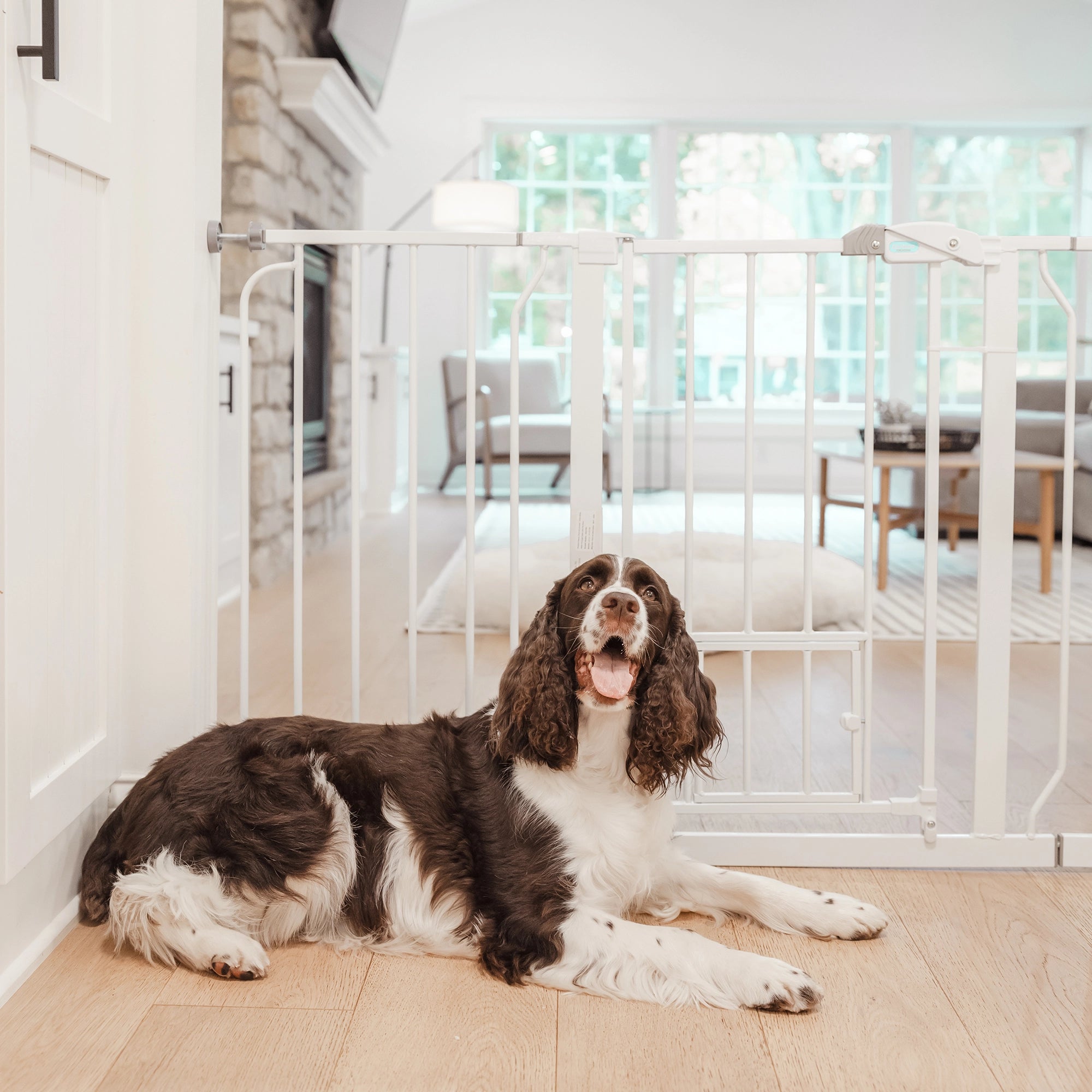 Carlson Pet Products 51 Extra Wide Walk Thru Pet Gate