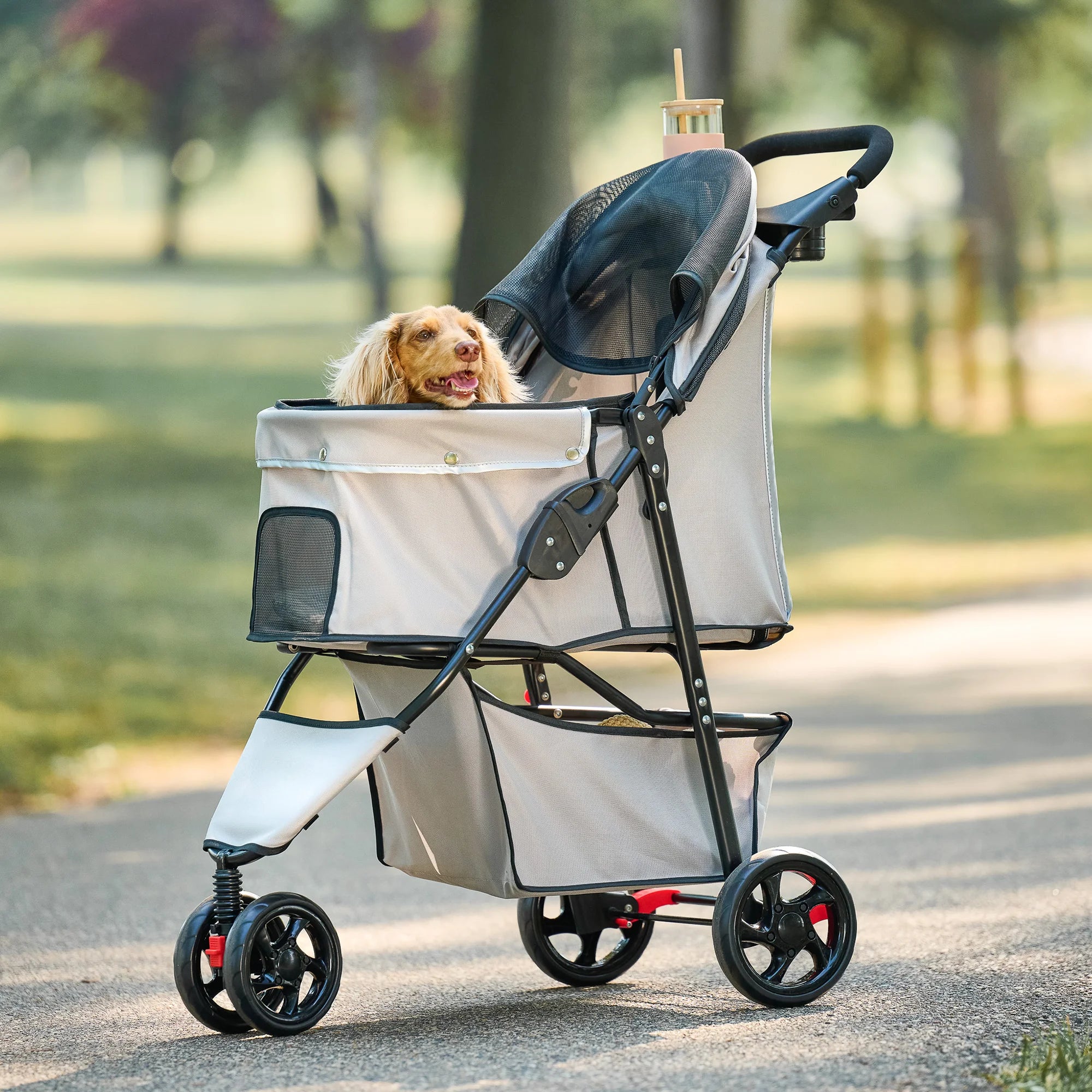 Brown dog sitting in Carlson Portable Pup Pet Stroller in Park.