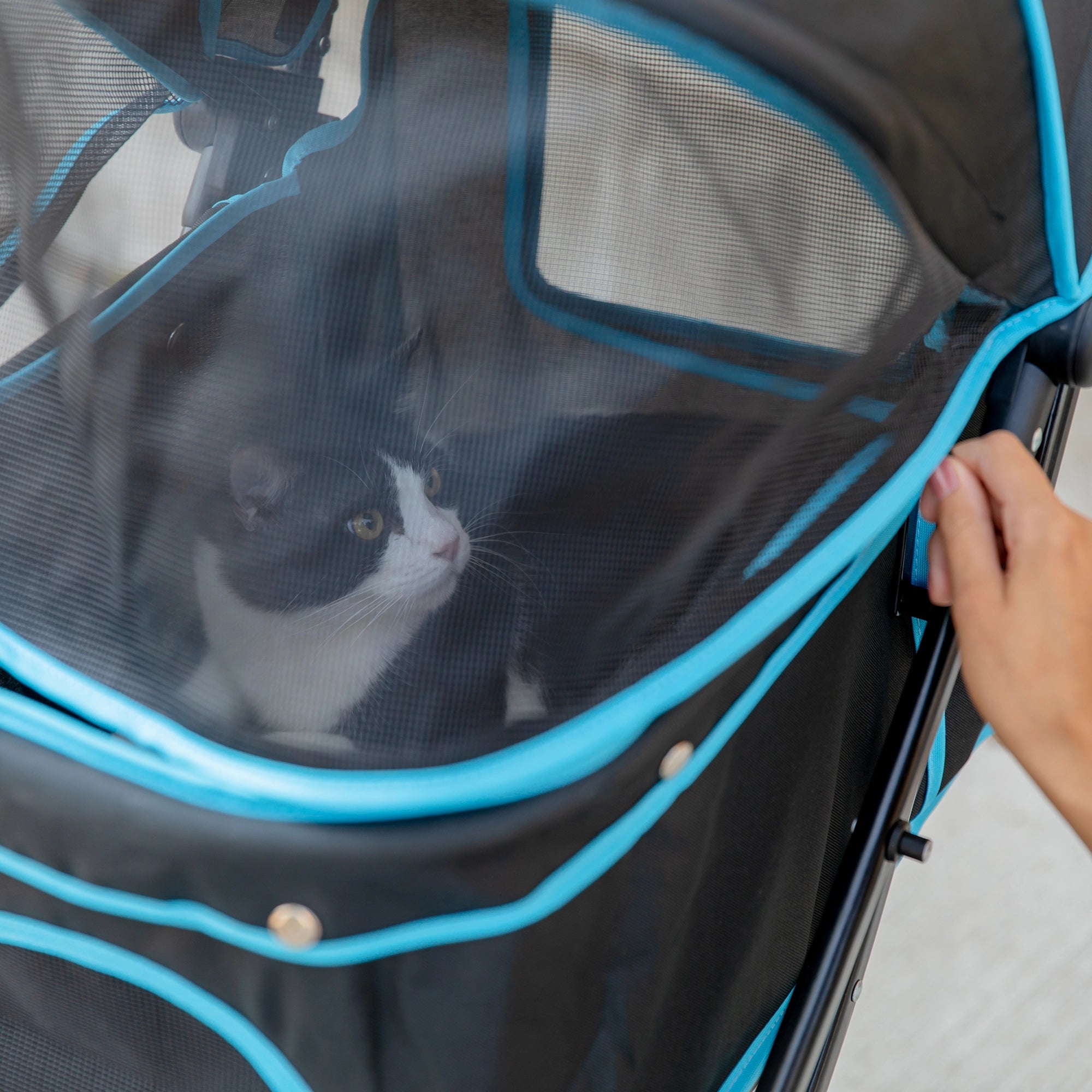 dog stroller that folds into backpack Carlson® Easy Fold & Go Pet Stroller