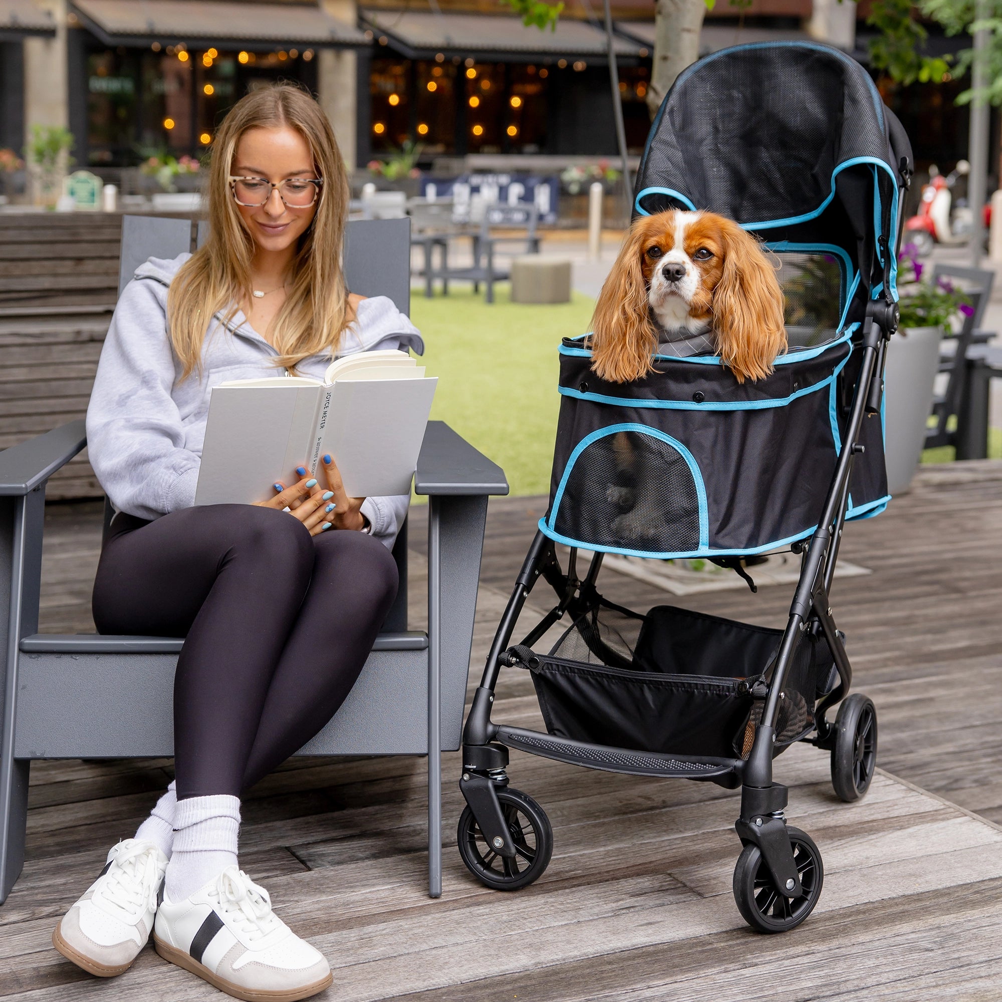 dog stroller for beach Carlson® Easy Fold & Go Pet Stroller
