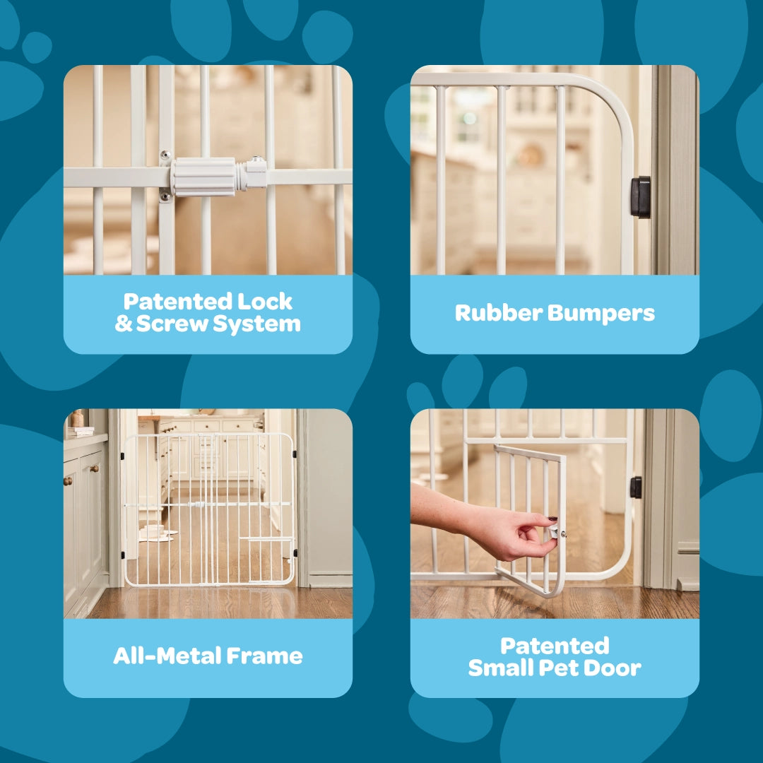 Dog gate with features highlighted on a blue background