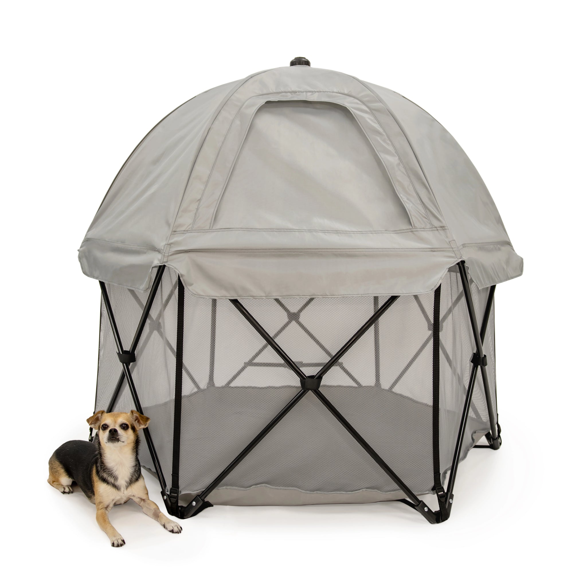 Pet pen with a dog sitting outside on a white background