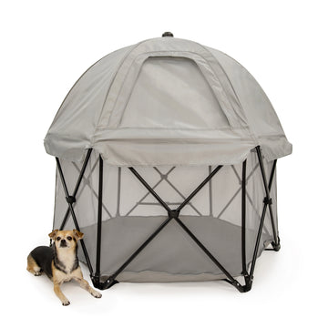 Pet pen with a dog sitting outside on a white background