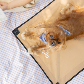 Portable and durable Carlson Large Tan Portable Pup Pet Bed with an all-steel frame and waterproof nylon fabric. Ideal for pets up to 95 pounds, it features easy setup, foldable design for storage, breathable mesh, and a comfortable elevated surface for indoor or outdoor use.