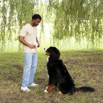 The Carlson Extra-Large Trolly Cable & Dog Tie-Out, featuring a durable steel wire 50-foot run cable, 10-foot tie-out cable, and metal screw hooks, designed to securely contain pets up to 200 pounds. Ideal for outdoor use, easy to install with a pulley system for freedom of movement.