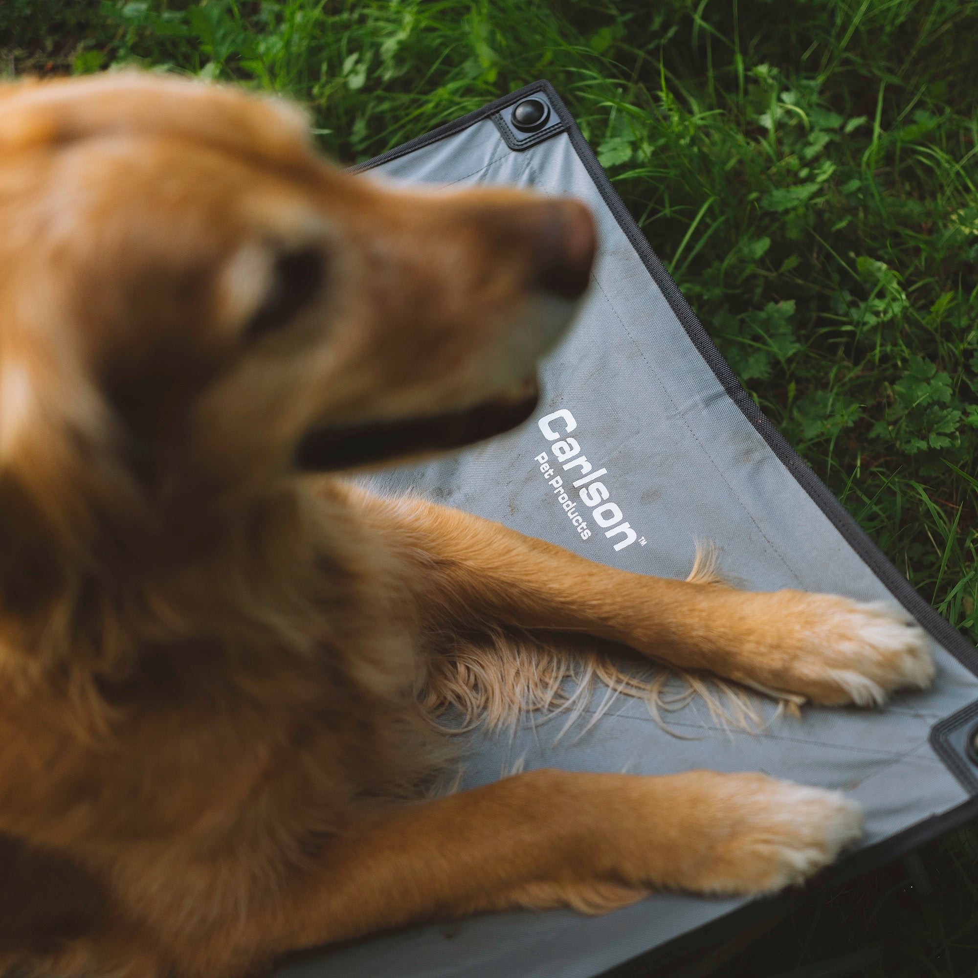 Large Portable Pup Pet Bed