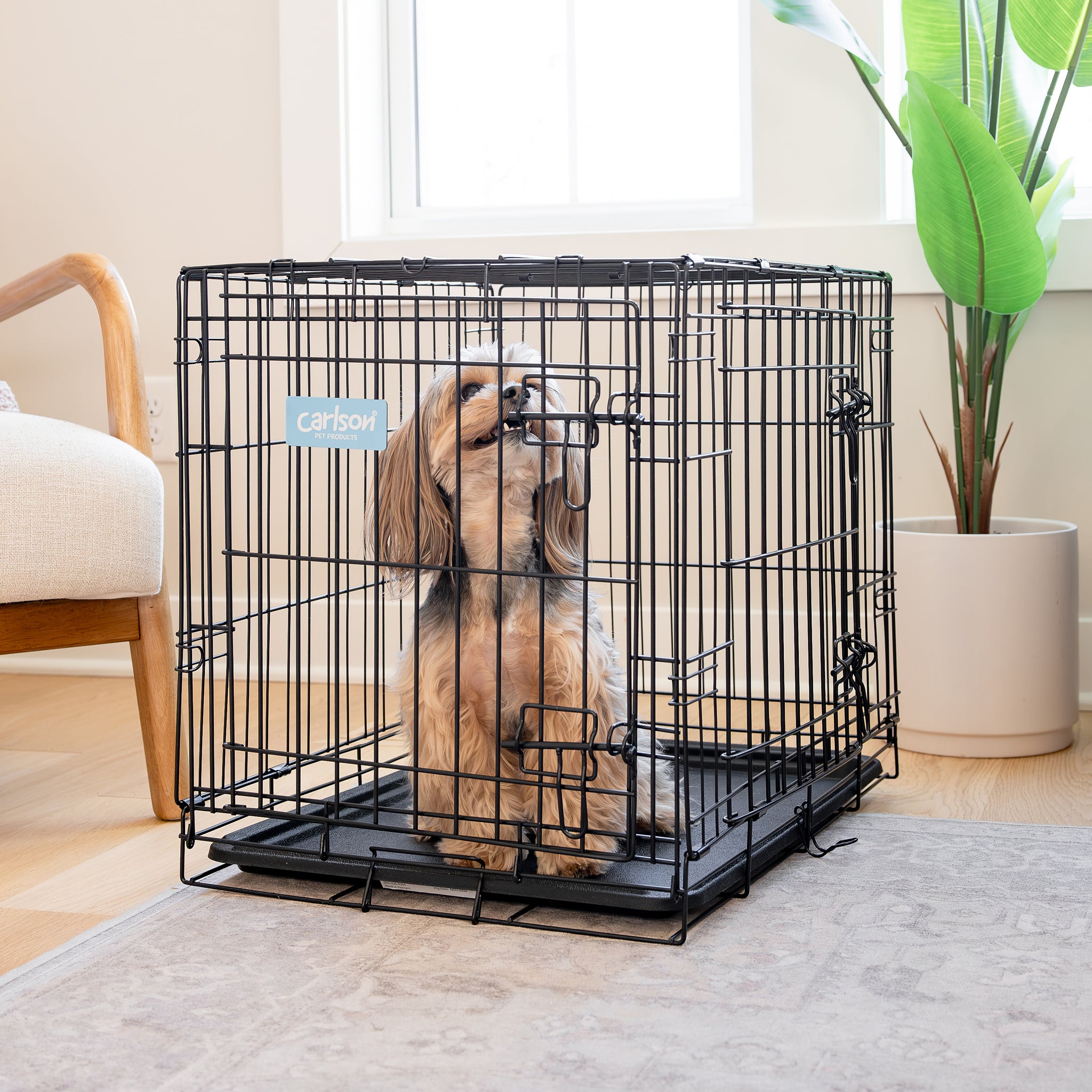 The Carlson Small Double-Door Dog Crate is a compact, durable wire crate with two doors for easy access. It features a multi-point locking system, folds flat for portability, and includes a removable bottom pan for easy cleaning. Ideal for small breeds, it includes a divider to grow with your puppy.