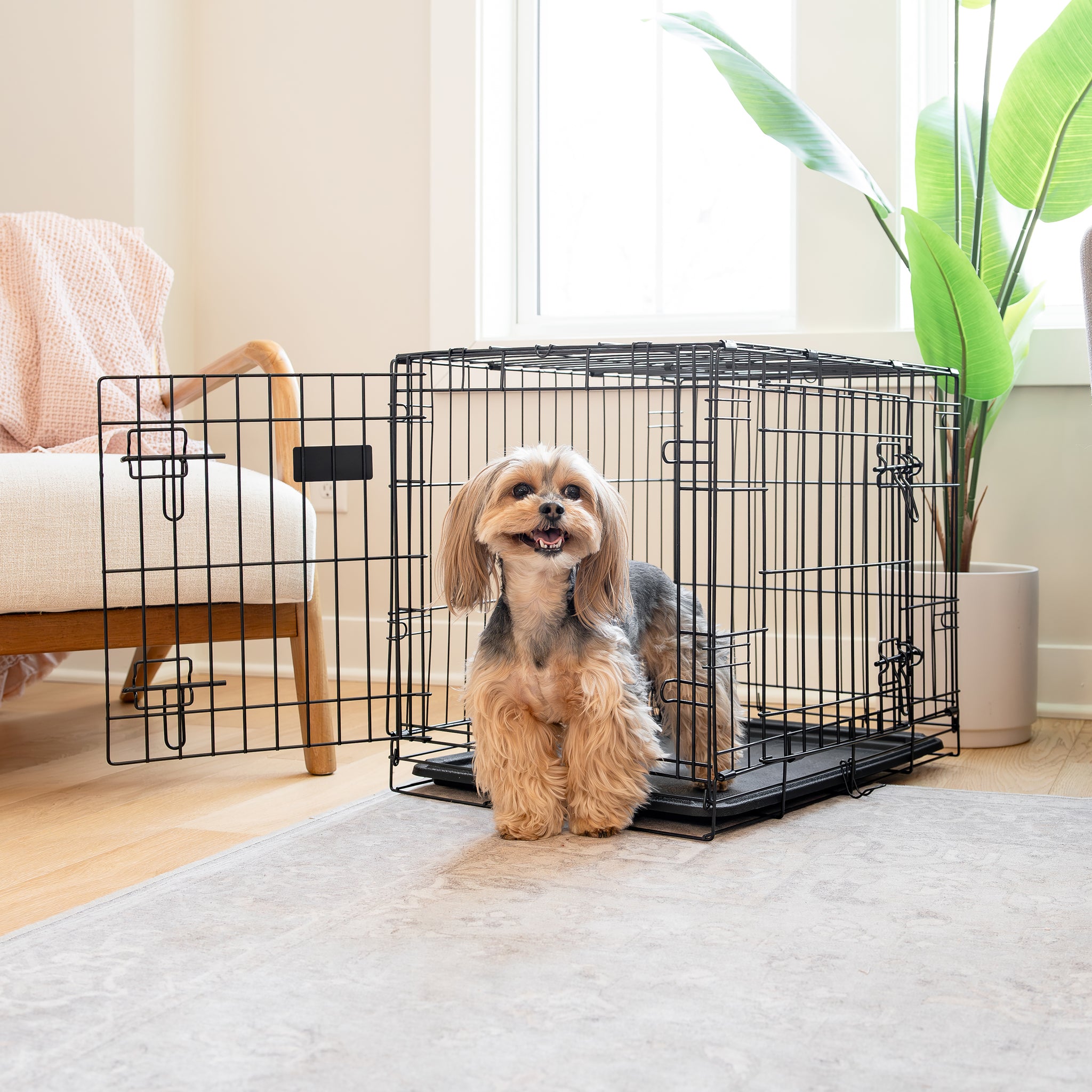 The Carlson Small Double-Door Dog Crate is a compact, durable wire crate with two doors for easy access. It features a multi-point locking system, folds flat for portability, and includes a removable bottom pan for easy cleaning. Ideal for small breeds, it includes a divider to grow with your puppy.