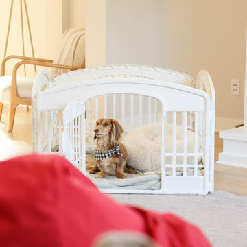 The Carlson 4-Panel Plastic Pet Pen provides a secure, versatile enclosure for small pets. Made with non-toxic materials, it’s lightweight, easy to set up, clean, and expand for both indoor and outdoor use.