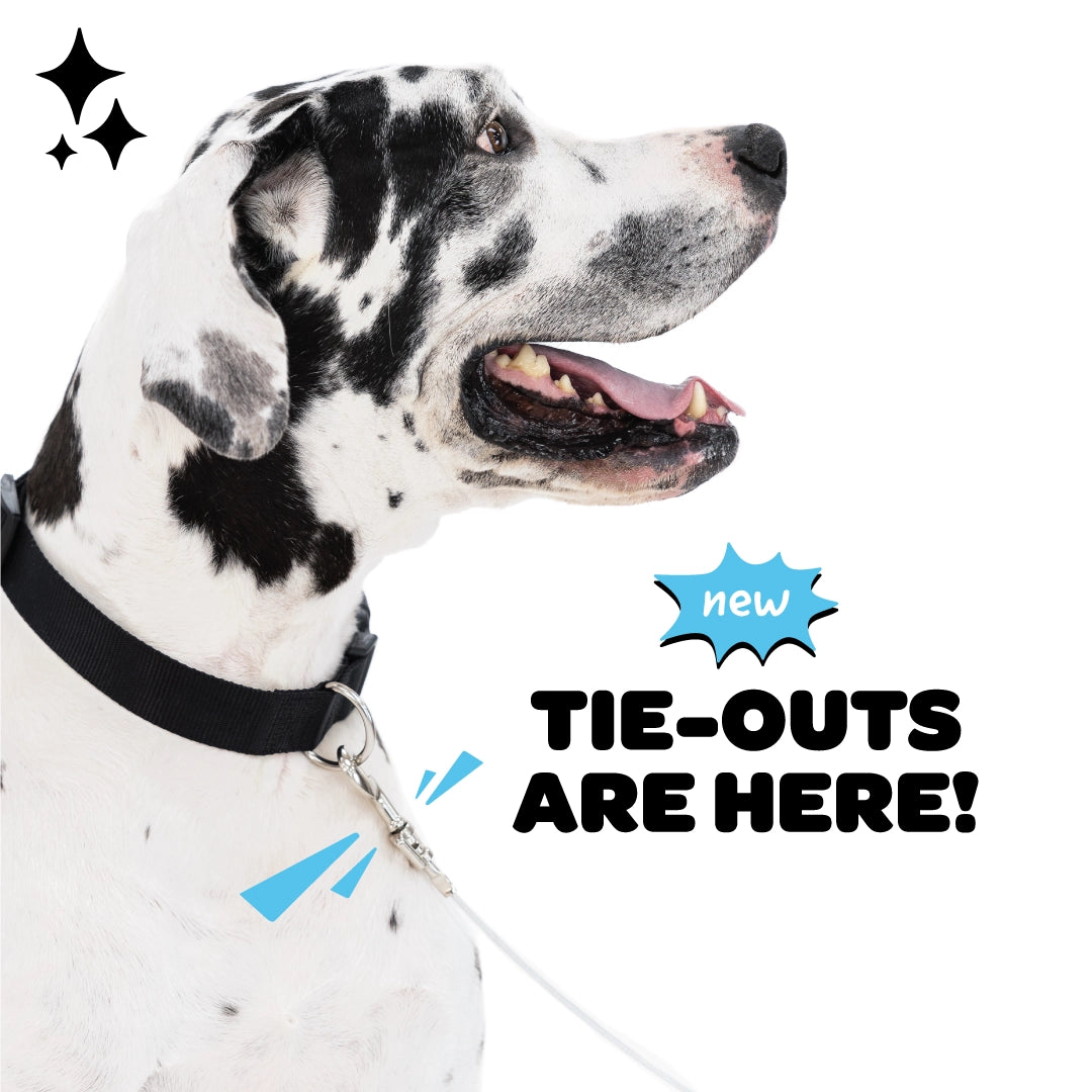 Carlson Pet Products