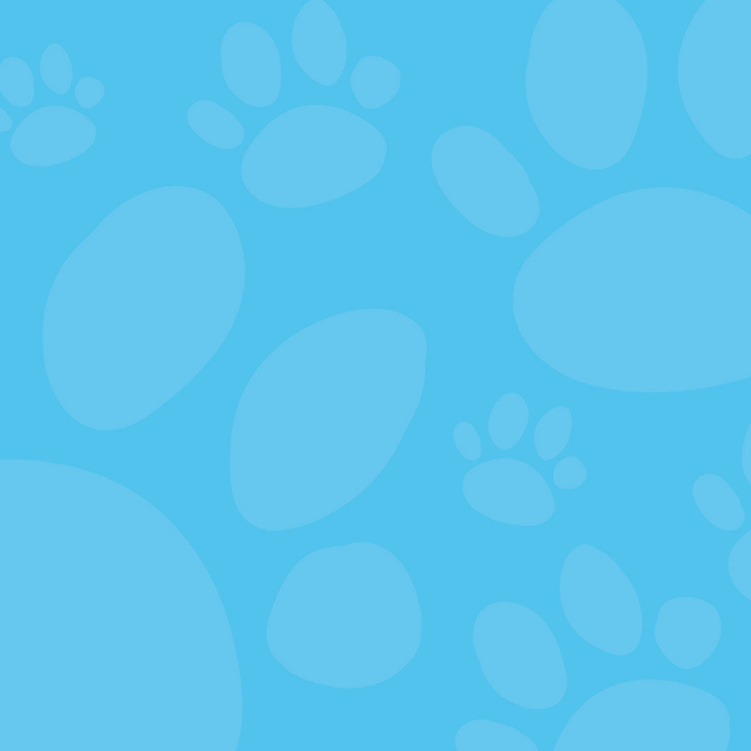 Outdoor Walk-Thru Pet Gate on white background.