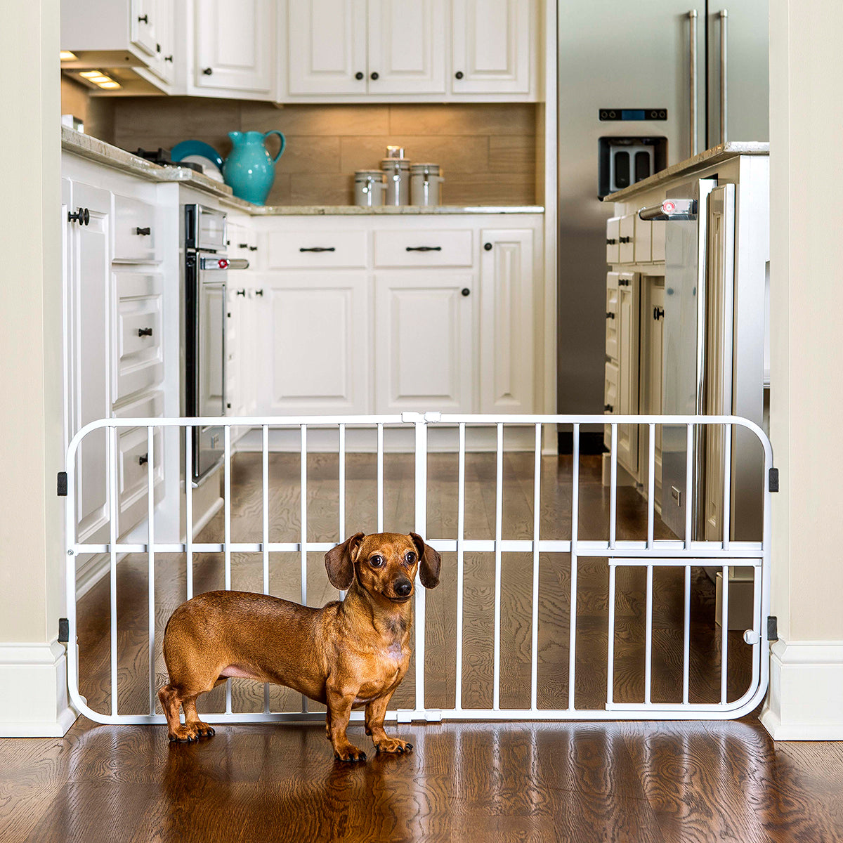 Small dog standing in front of Lil Tuffy® Pet Gate in a kitchen.