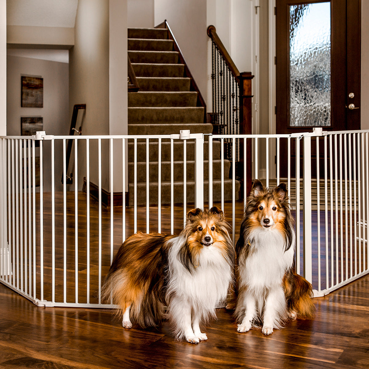 120" Super Wide Pet Gate