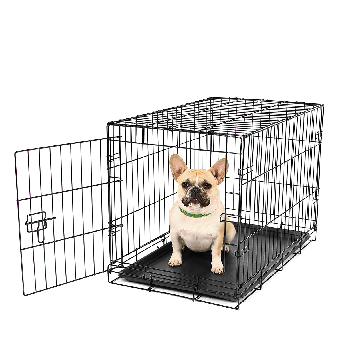 Small Dog Crate