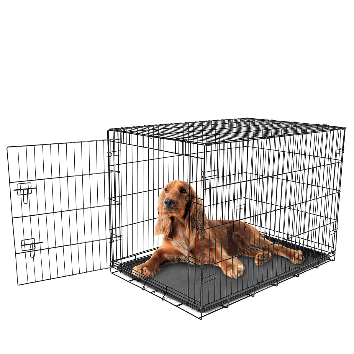 Intermediate Dog Crate