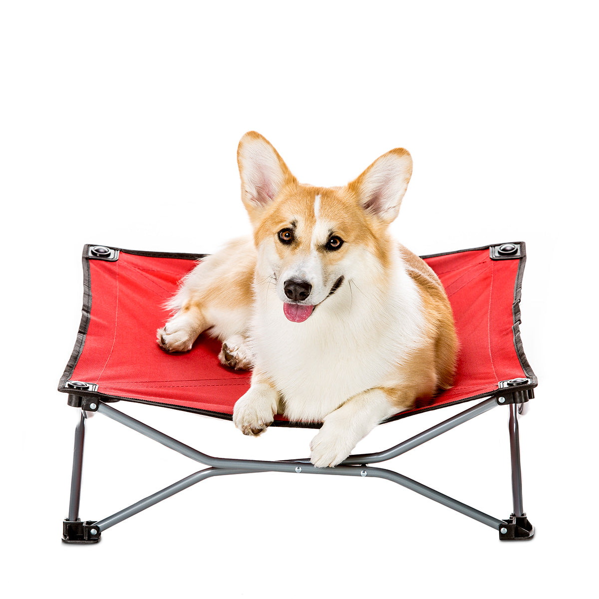 Small Elevated Dog Bed - Red